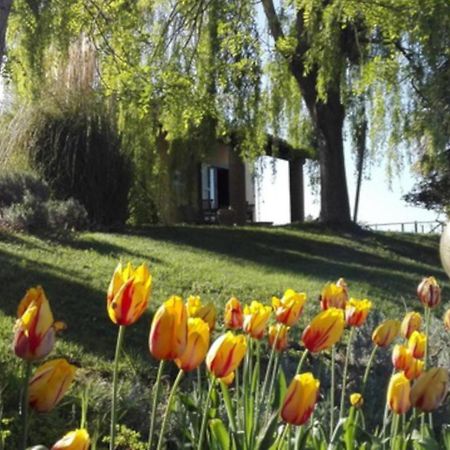 Agriturismo QuartoPodere Villa Magliano in Toscana Exterior foto