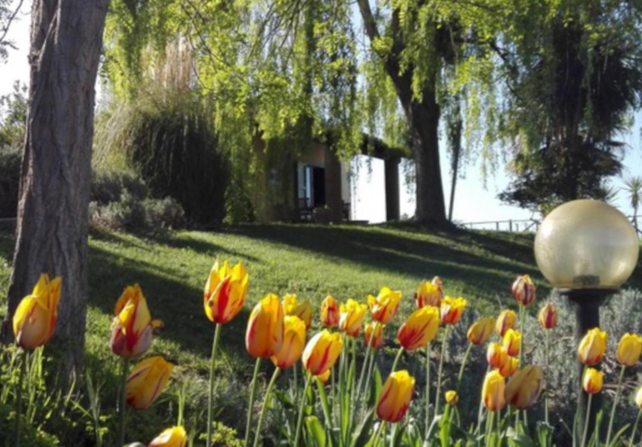 Agriturismo QuartoPodere Villa Magliano in Toscana Exterior foto