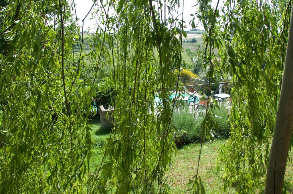 Agriturismo QuartoPodere Villa Magliano in Toscana Exterior foto